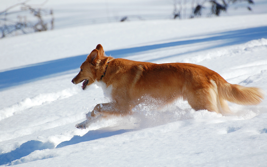 [Winter Playground]