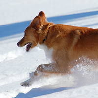 [Winter Playground]