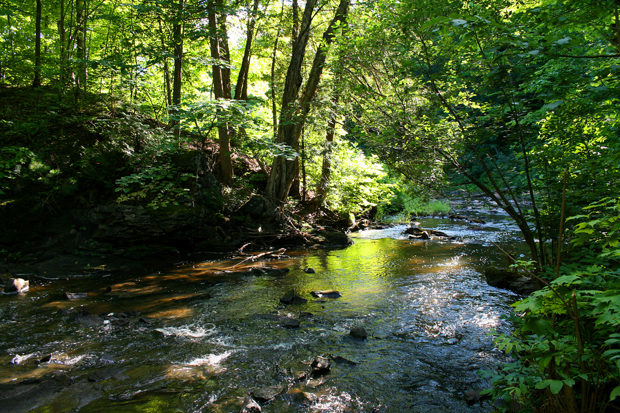 [Chelsea Creek]