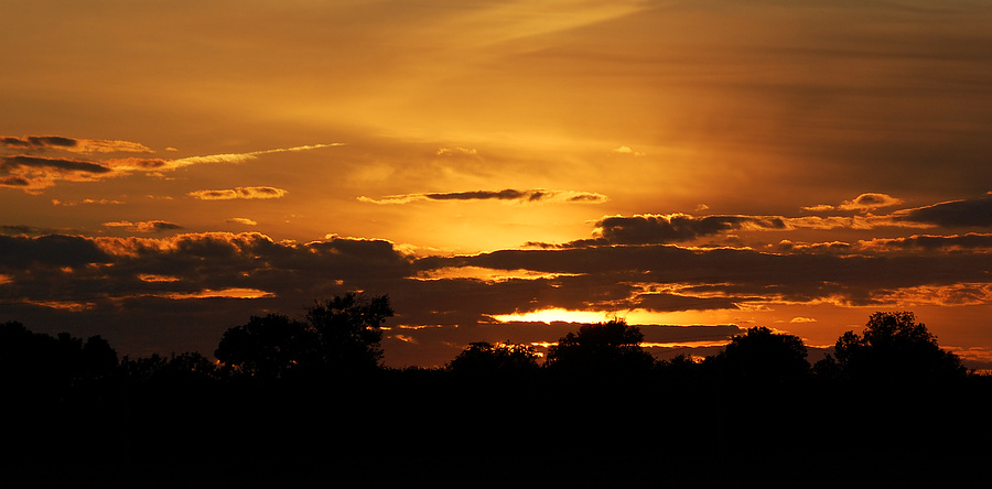 [August Sunset]